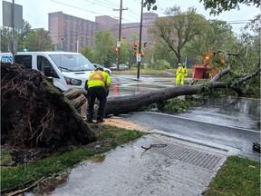 A tree lies on the road after Hurricane Dorian slammed into Canada's Atlantic coast on Saturday in Halifax, Canada, September 7, 2019 in this picture obtained from social media. Katelyn Zwicker /via REUTERS THIS IMAGE HAS BEEN SUPPLIED BY A THIRD PARTY. MANDATORY CREDIT. NO RESALES. NO ARCHIVES. ORG XMIT: DOR01