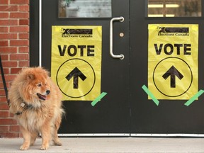 Lily, a chow chow mixed breed dog waits for owner Fino Poliziani as he votes in the 2019 federal election at Capital Hill School on 18 St NW in Calgary on Monday, October 21, 2019. Jim Wells/Postmedia