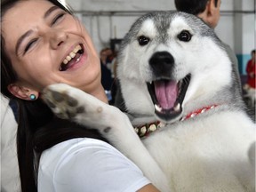 A woman smiles as she holds her Husky during a dog exhibition in Bishkek on October 5, 2019.