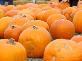 It seems pumpkins are in short supply around Calgary this year, leaving Calgarians to find creative solutions for Halloween.