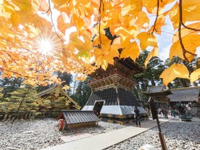nikko shrine in autumn