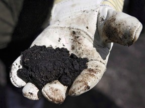 An oil worker holds raw sand bitumen near Fort McMurray, on July 9, 2008. Canada's $1.6 billion bailout package for Alberta's battered oil industry is well underway but with little transparency about who is getting the money and for what purposes.