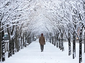 Taylor Amonson walks under a snowy canopy of trees along 12th Avenue S.E. near Stampede Park in Calgary on Tuesday, Nov. 19, 2019.