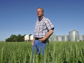 Grain farmer Jeff Nielsen says farmers, battling bad weather and trade issues, need government help now more than ever.