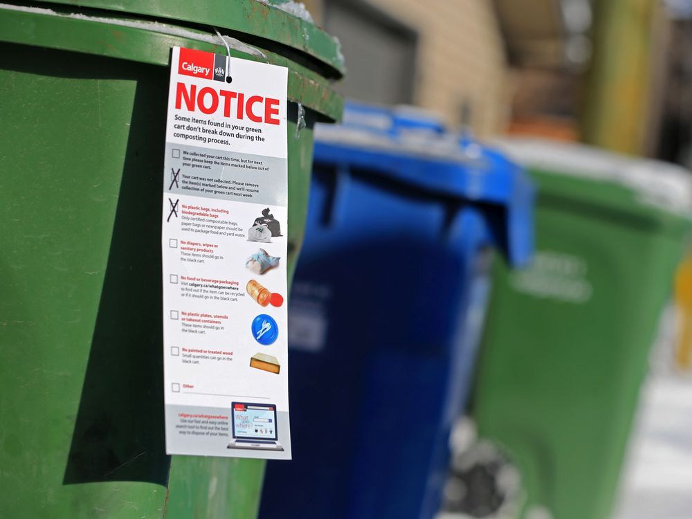 5 Things You Didn't Know About Calgary's Blue Cart Recycling Program -  Avenue Calgary