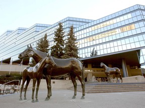 Calgary's Municipal Building