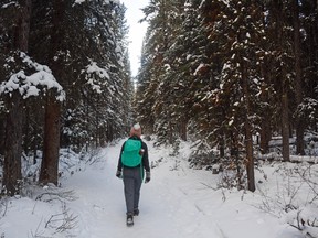 An image of a woman walking through the woods on the ink pots trail in winter in Banff National Park, Alberta, Canada.