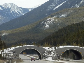 An existing wildlife overpass on the Trans-Canada Highway west of Banff. Construction has begun on another overpass near Canmore.
