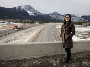 Hilary Young, Alberta senior program manager for the Yellowstone to Yukon Conservation Initiative, looks out over the Trans Canada highway near Canmore.