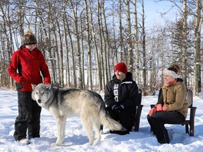 Visitors taking part in the interactive tour at Yamnuska Wolfdog Sanctuary. Courtesy, Yamnuska Wolfdog Sanctuary