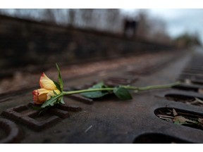 A rose is placed on a plaque detailing the transport dates and destinations of Jews sent from Berlin to various concentration camps between 1942 and 1944, at the Platform 17 (Gleis 17) memorial, next to the Gruenewald S-Bahn station in Berlin on Jan. 23, 2020. By the end of the Second World War, some 50,000 Jews were deported from this platform. In total, six million Jews were murdered by the Nazis. World leaders are commemorating the 75th anniversary of the liberation of the Auschwitz-Birkenau concentration-extermination camp on Jan. 27, 2020.