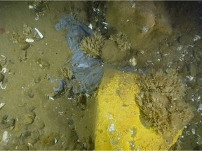 A blue plastic bag on the bottom of the Bay of Fundy in this undated handout photo. A survey of the Bay of Fundy is estimating over 1.8-million pieces of garbage are strewn over its bottom, causing scientific concerns about potential harm to marine life. The study published today in Marine Pollution Bulletin found an average of 137 pieces of plastic litter, dumped or lost fishing gear, and other garbage, per square kilometre of ocean.