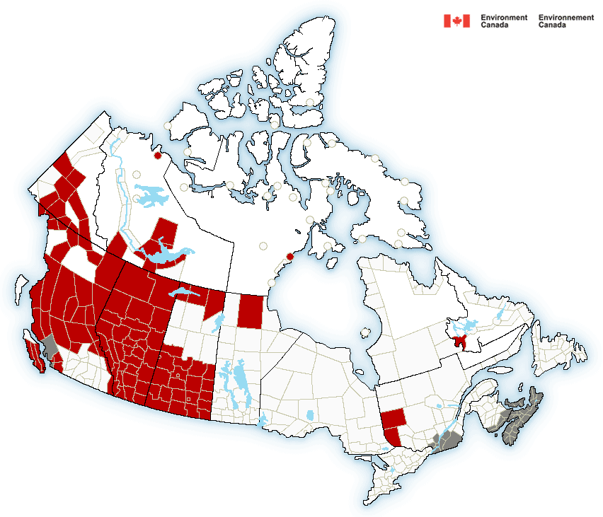 Extreme Cold Weather -  Canada