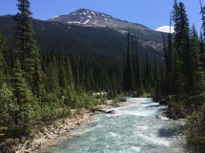 File photo: In this July 6, 2017 photo, the Yoho River flows through Yoho National Park in Canada's stretch of the Rocky Mountains, straddling the border of British Columbia and Alberta