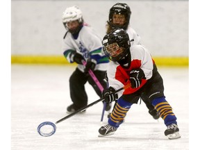 The Calgary NW Tigers, Oscar Paradowski-Lamy during action against the South Calgary Star Catchers shot during Esso Golden Ring action at the Village Square arena in Calgary on Saturday January 19, 2019. Darren Makowichuk/Postmedia