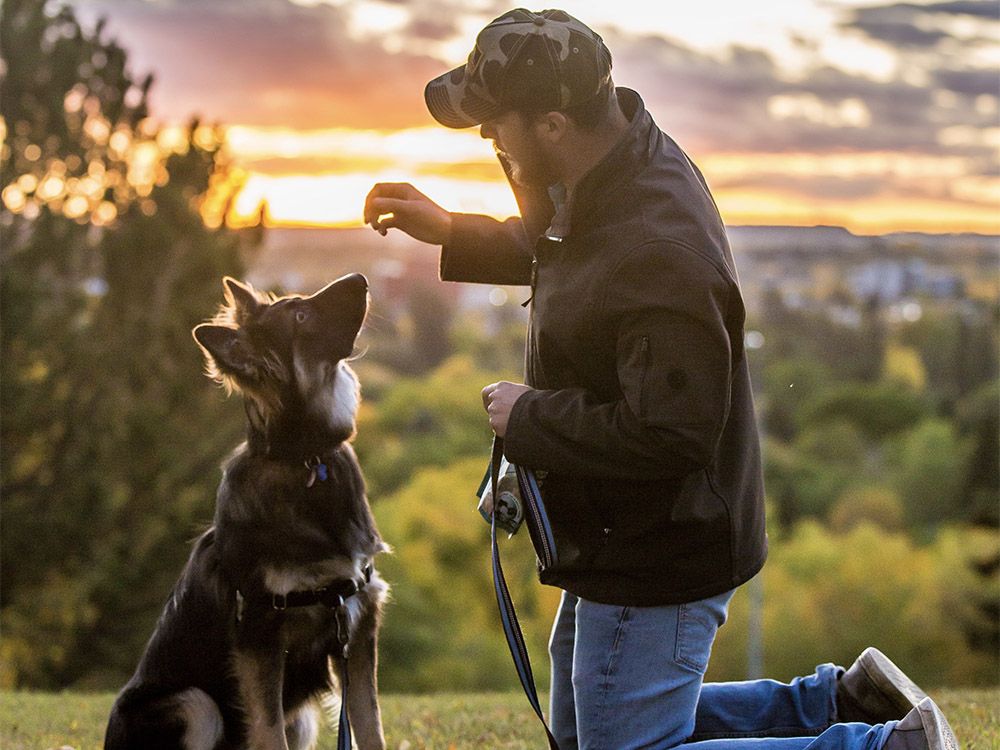 Red Deer dog with crooked snout gains international following