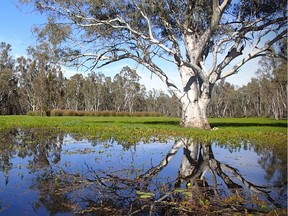 A portion of the proceeds from every River Retreat bottle sold goes to the Murray Darling Wetlands Working Group.