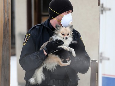 Police and bylaw officers removed about 25 dogs from a home on Malvern Crescent N.E. on Thursday February 13, 2020.