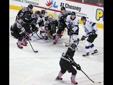 The Calgary Hitmen and Winnipeg Ice pack around Hitmen goaltender Brayden Peters during the TELUS Be Brave #endbullying game on Thursday, February 27, 2020.  Gavin Young/Postmedia