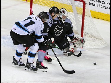 Calgary Hitmen goaltender Brayden Peters guards against this Winnipeg Ice shot during the TELUS Be Brave #endbullying game on Thursday, February 27, 2020. The Hitmen won the game 4-1. Gavin Young/Postmedia