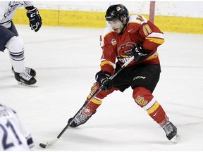 Kaden Elder has had a solid rookie season for the Calgary Dinos. File photo by Brendan Miller/Postmedia.