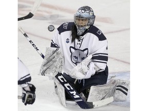 Mount Royal Cougars goalie Cassie Shokar. File photo by Brendan Miller/Postmedia.