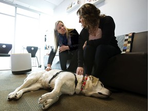 Zebra Child Protection Centre chair Allison McCollum (left) and Minister of Children's Services Rebecca Schulz visit with therapy dog Wren prior to a press conference to announce a new provincial funding model for child advocacy centres.