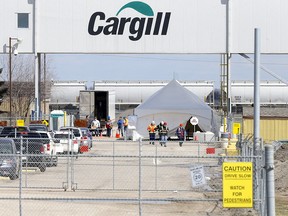 The COVID-19 outbreak at Cargill at its peak was the most rampant in North America, affecting about 1,200 people. Postmedia archive photo