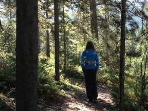 Forest bathing is good for the soul and mental health. You don't need a forest, just commune with nature in your yard or neighbourhood park while still practising social distance. Courtesy, Jody Robbins.