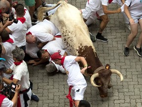 Participants fall next to a Puerto de San Lorenzo fighting bull during the first bullrun of the San Fermin festival in Pamplona, northern Spain on July 7, 2019. - On each day of the festival six bulls are released at 8:00 a.m. (0600 GMT) to run from their corral through the narrow, cobbled streets of the old town over an 850-meter (yard) course. Ahead of them are the runners, who try to stay close to the bulls without falling over or being gored.