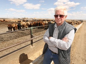 Ben Thorlakson, owner of Thorlakson Feedyards, poses at the company's lot near Airdrie on Friday, April 24, 2020.