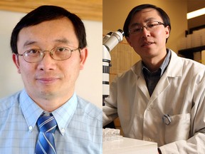 Drs. Chang-Chun Ling (L) and Kenneth Ng (R) are two U of C scientists who received federal funding to develop lead antiviral compounds for more effective COVID-19 treatments.
