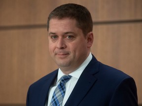 Leader of the Opposition Andrew Scheer is seen during a news conference in Ottawa, Tuesday April 14, 2020.