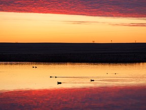 Sunrise brightens the sky over a pond east of Calgary, Ab., on Monday, May 11, 2020.