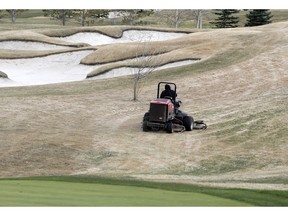 A maintenance worker is seen on Blue Devil Golf Club following Premier Jason Kenney's announcement to gradually open Alberta's economy. Golf courses in Alberta will be allowed to open this weekend, following strict physical distancing measures, during the COVID-19 pandemic. Thursday, April 30, 2020. Brendan Miller/Postmedia