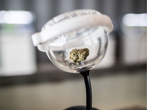 A cannabis sample is displayed at the Omkara Cannabis store in northwest Calgary store on Tuesday, May 5, 2020.