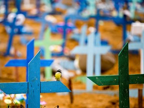 A bird is pictured over a cross during a mass burial of people who died due to COVID-19, at the Parque Taruma cemetery in Manaus, Brazil May 13, 2020.