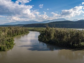 Looking upstream toward the source of the Columbia River near Radium, BC on Sunday June 24, 2018. Mike Drew/Postmedia