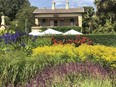 This fully mature perennial bed features Salvia, Agapanthus, Canna Lilies and grasses. The colours may seem disparate, but the cohesiveness and balance are achieved as the tones are of similar vibrancy and the grasses have a muting effect.  Bill Brooks photo