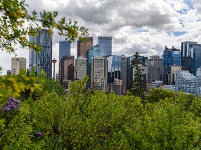 Pictured is the downtown Calgary skyline view from Rotary Park on Monday, June 8, 2020.