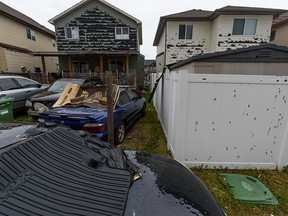Aftermath of June 13, 2020, hailstorm in Saddle Ridge in northeast Calgary. The photo was taken 10 days after the event.
