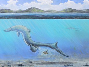An artist's interpretation of a baby mosasaur emerging from an egg just moments after it was laid.