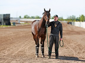 Trainer Dave Kelly stands with race horse Rider at Century Downs Racetrack and Casino on Sunday, June 21, 2020. The track is set to reopen to the public on Monday.