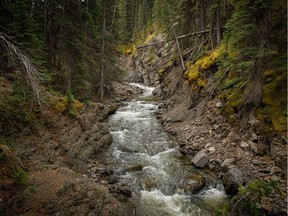 Wilkinson Creek tumbles through a rocky gorge west of Longview, Ab., on Wednesday, June 17, 2020.