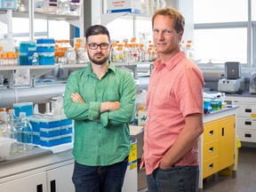 University of Calgary scientists Casey Hubert, left, is among University of Calgary researchers working with AHS and city officials to test wastewater from throughout the city for traces of SARS-CoV-2.