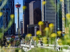 The downtown Calgary skyline and Centre Street Bridge were photographed on Friday, July 10, 2020.