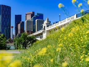 The downtown Calgary skyline and Centre Street Bridge were photographed on Friday, July 10, 2020.
