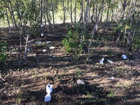 Trash left behind after a bush party in central Alberta attended by about 500 people.