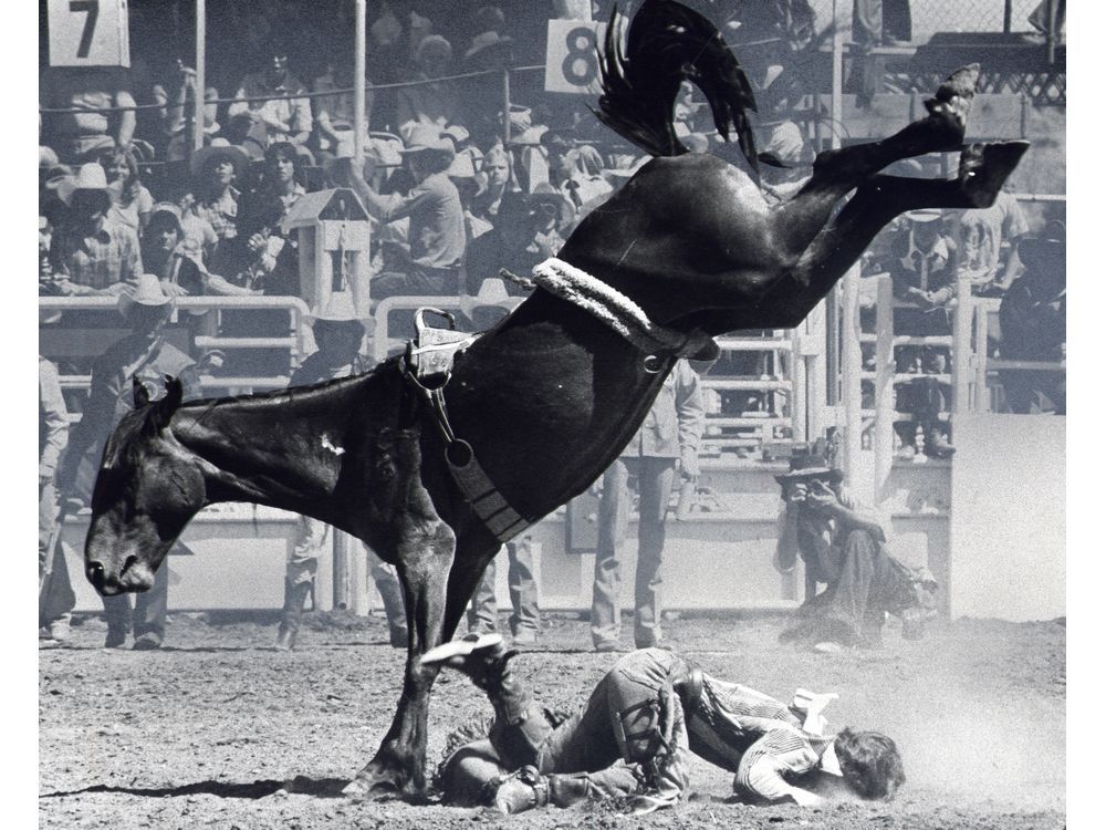 YYC's first million-person fair: The Calgary Stampede in the 1970s —
From the archives