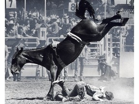 1978 Calgary Stampede rodeo